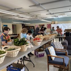10-11 AM Friday Produce Market