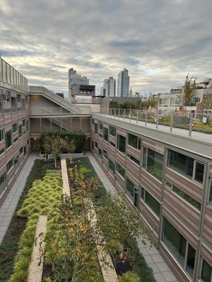 Pod Brooklyn Hotel by null