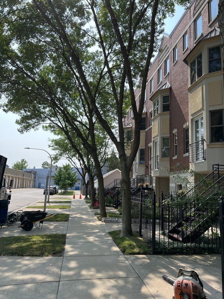 Ryan's Tree Care - tree service in Addison, IL