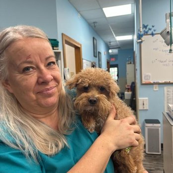 Raintree Veterinary Hospital Raintree Veterinary - Veterinarians Near Me - Freehold, New Jersey Raintree Veterinary Hospital Raintree Veterinary - Veterinarians Near Me - Freehold, New Jersey