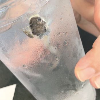Waffle House - WHOLE FROG in our water!! - Breakfast & Brunch Near Me - Tallahassee, Florida Waffle House - WHOLE FROG in our water!! - Breakfast & Brunch Near Me - Tallahassee, Florida