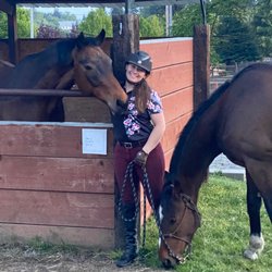 A girl and her ponies