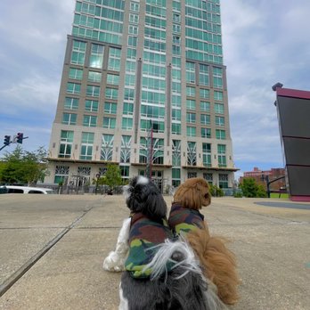 Kimpton Hotel Arras - Hotels Near Me - Asheville, North Carolina Kimpton Hotel Arras - Hotels Near Me - Asheville, North Carolina