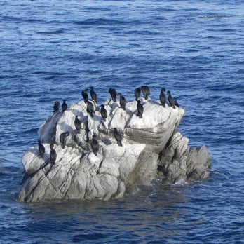 Pacific Grove Property Management - Monterey Bay! - Property Management Near Me - Pacific Grove, California Pacific Grove Property Management - Monterey Bay! - Property Management Near Me - Pacific Grove, California