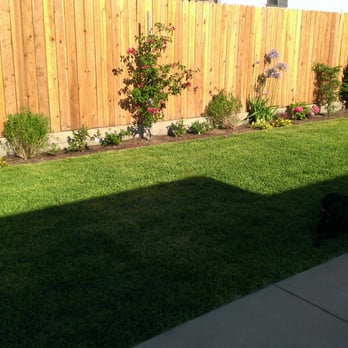 Marvel Landscapes - Landscaping Near Me - Pasadena, California