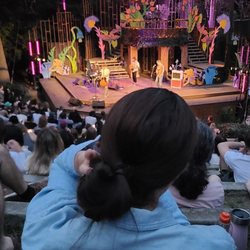 High Park Outdoor Amphitheatre - Seating and stage