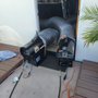 Photo of Bye Bye Bed Bugs