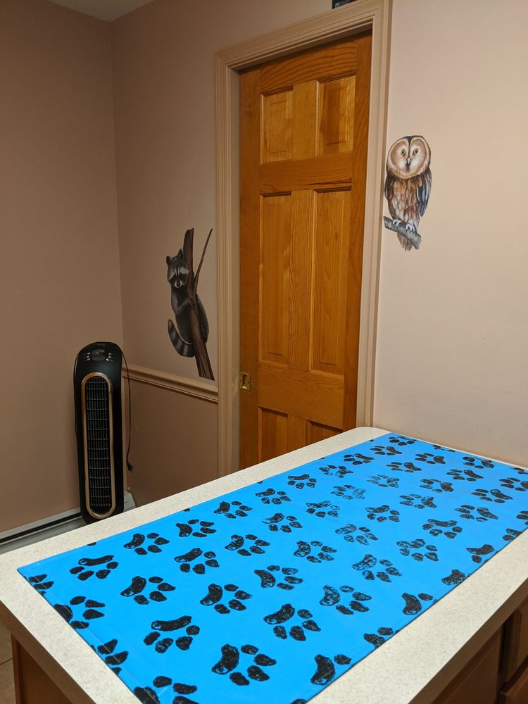 WALBERT ANIMAL HOSPITAL 30 Photos & 11 Reviews 2061 Walbert Ave