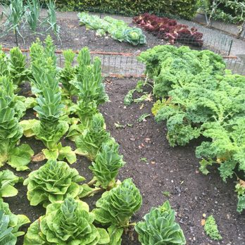 Ashford Castle - Hotels Near Me - Cong, Missouri Ashford Castle - Hotels Near Me - Cong, Missouri