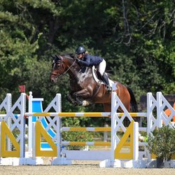 Full Circle Farm - Kristen Guadagnino
USEF r Judge and competitor