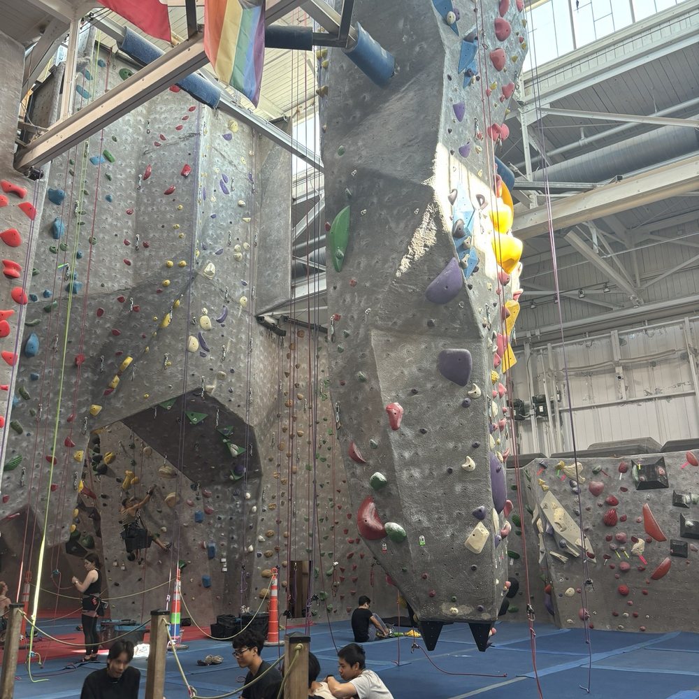 True North Climbing - Climbing Near Me - Toronto, Ontario True North Climbing - Climbing Near Me - Toronto, Ontario