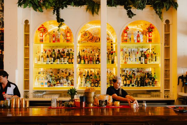 Brother Wolf by null