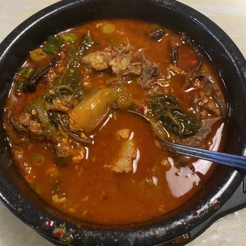 Danji - Supposed yukejang. No noodles or eggs or green onions. Barely any gosari. It looks more like haejanggook. - Korean Near Me - Greensboro, North Carolina