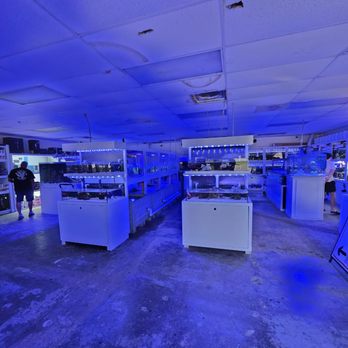 Reef Lounge USA - Inside - Aquarium Services Near Me - Anaheim, California Reef Lounge USA - Inside - Aquarium Services Near Me - Anaheim, California