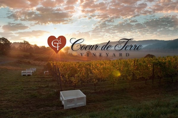 Coeur De Terre Vineyard by null