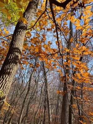 Mineral Springs Greenway