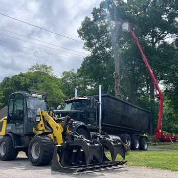 Andy's Tree Service - Tree Services Near Me Andy's Tree Service - Tree Services Near Me