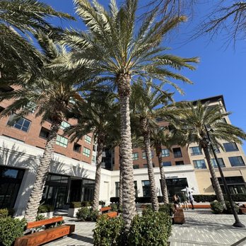1 Oz Coffee - Outside - Coffee & Tea Near Me - Santa Clara, California 1 Oz Coffee - Outside - Coffee & Tea Near Me - Santa Clara, California