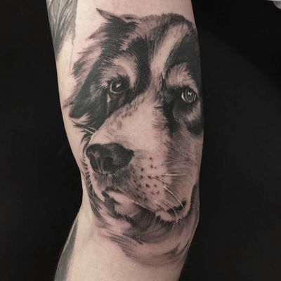 Paradise City Tattoo by null