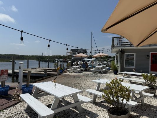Barnegat Oyster Collective by null