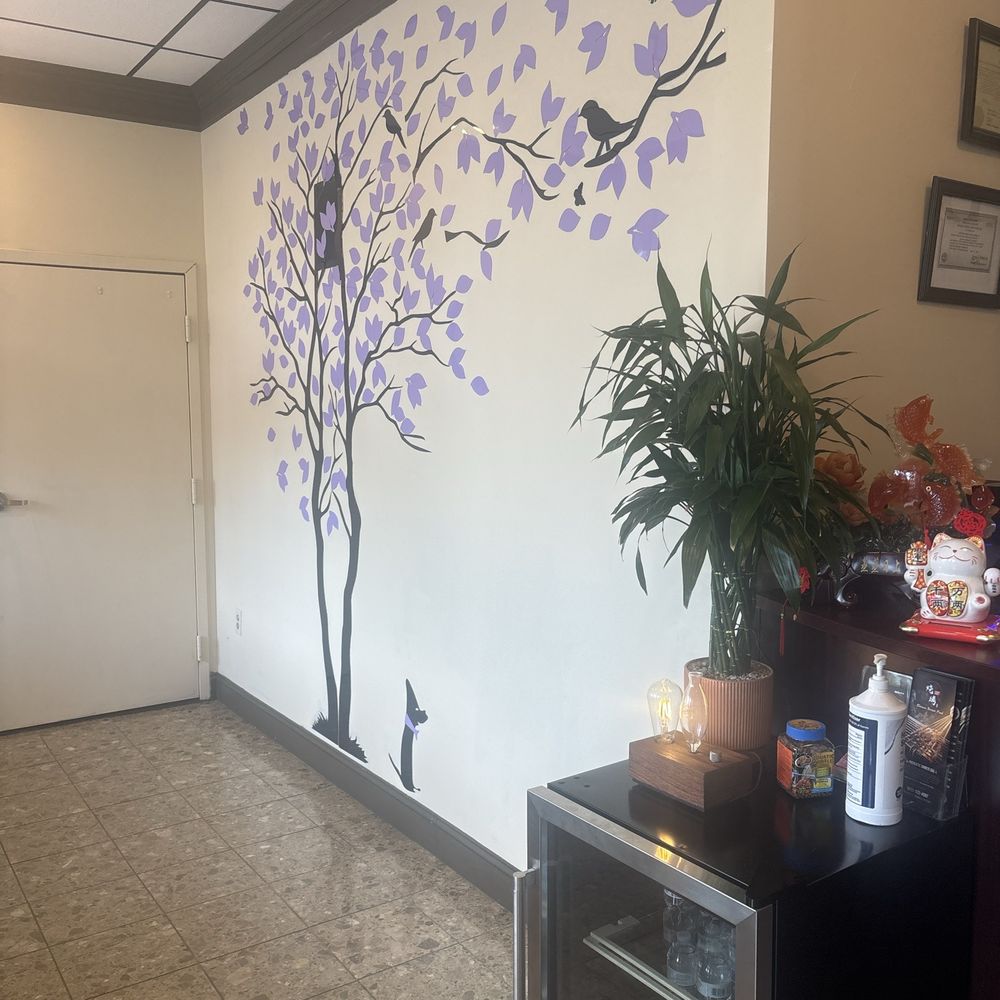 A New Day Spa - Entrance - Day Spas Near Me - Hendersonville, Tennessee