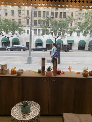 Columbus Circle Apothecary NYC by null