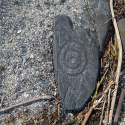 Petroglyph Beach State Historic Park
