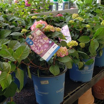 Walmart Garden Center - Nurseries & Gardening Near Me - Diberville, Mississippi