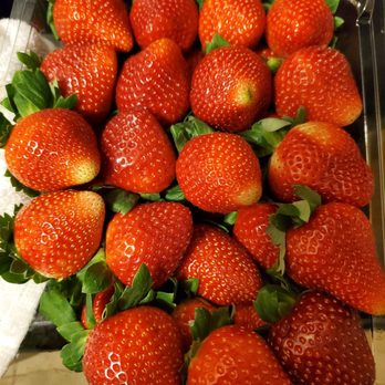 Costco Wholesale - Strawberries - Wholesale Stores Near Me - Wharton, New Jersey Costco Wholesale - Strawberries - Wholesale Stores Near Me - Wharton, New Jersey
