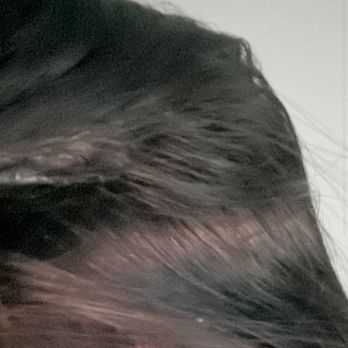 Color By Les - Hair Stylists Near Me - Roseville, California