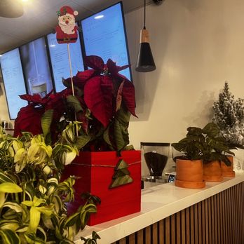 Phin Cafe - Coffee & Tea Near Me - Fremont, California Phin Cafe - Coffee & Tea Near Me - Fremont, California