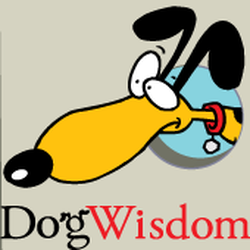 Dog Wisdom
