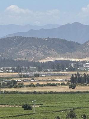 Kingston Family Vineyards by null