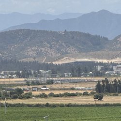 Kingston Family Vineyards