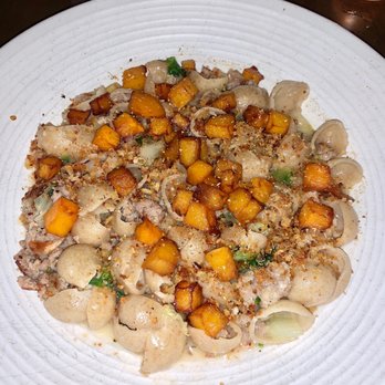 OLIVIA - Orecchiette - Italian Near Me - Tampa, Florida