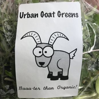 Richardson Farmers Market - Microgreens from Urban Goat Greens - Farmers Market Near Me - Richardson, Texas Richardson Farmers Market - Microgreens from Urban Goat Greens - Farmers Market Near Me - Richardson, Texas