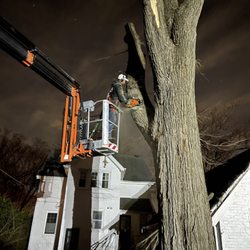 First Class Outdoor Services