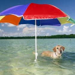 Good Dog Animal Care - We are animal lovers, & your neighbors:)