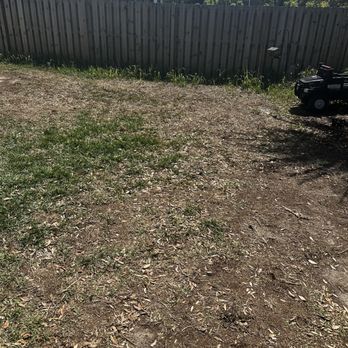 TruGreen Lawn Care - Lawn Services Near Me - Pensacola, Florida TruGreen Lawn Care - Lawn Services Near Me - Pensacola, Florida