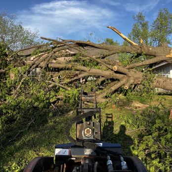 Tip Top Tree Service - Storm damage clean up - Tree Services Near Me - Bastrop, Texas Tip Top Tree Service - Storm damage clean up - Tree Services Near Me - Bastrop, Texas