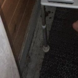 Yogi Bear's Jellystone Park - Feces on the bathroom floor.