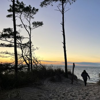 Savage Neck Dunes - Sunset - Hiking Near Me - Cape Charles, Virginia Savage Neck Dunes - Sunset - Hiking Near Me - Cape Charles, Virginia
