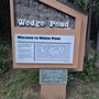 Photo of Wedge Pond