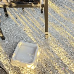 Maybank Public House - Dog water bowl provided by the restaurant
