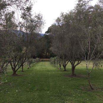 Back 2 Earth - Vegan Near Me - Berry, NSW