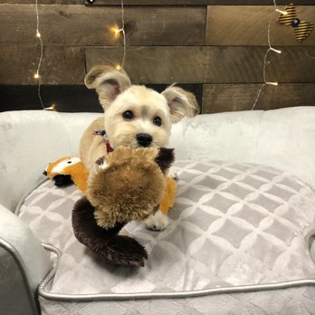 Jasmine Pet Grooming - Gotcha now! - Pet Groomers Near Me - Brea, California