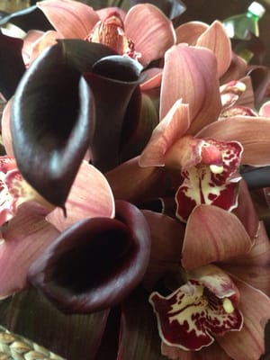 Ariston Floral Boutique by null