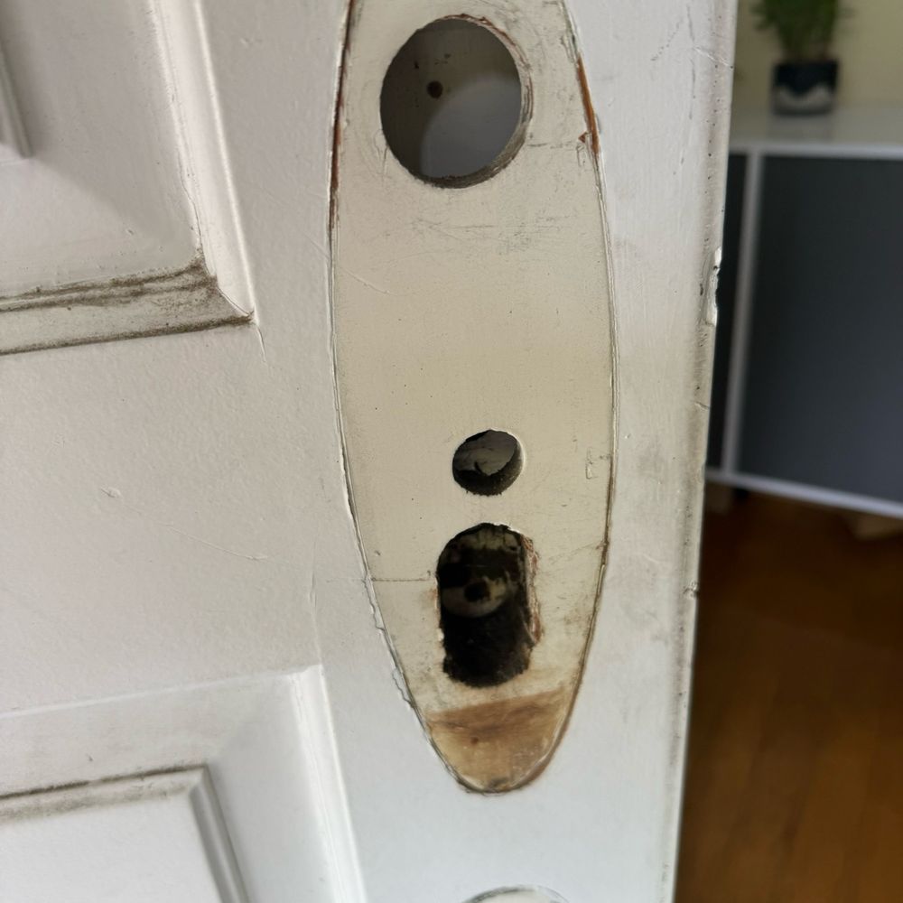 Handyman Daddy - Painters Near Me