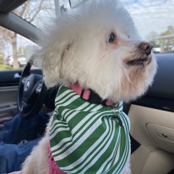 Bark'n Biscuit Salon - Pet Groomers Near Me - Merced, California Bark'n Biscuit Salon - Pet Groomers Near Me - Merced, California