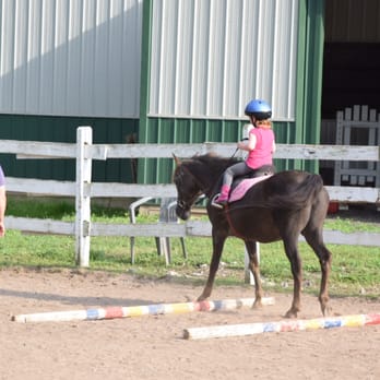 Spruce Meadow Farm - Horseback Riding Near Me - Clarence, New York Spruce Meadow Farm - Horseback Riding Near Me - Clarence, New York